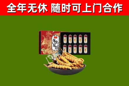 沧县回收冬虫夏草价格