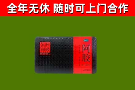 沧县烟酒回收阿胶.jpg
